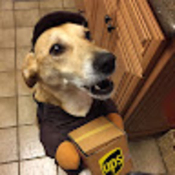 Meet your Posher, Tyler - Picture 1 of 1